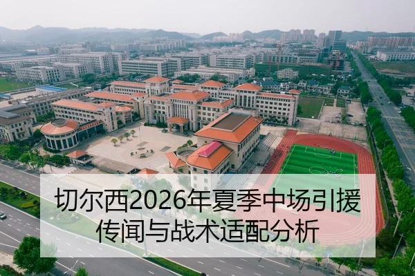 切尔西2026年夏季中场引援传闻与战术适配分析
